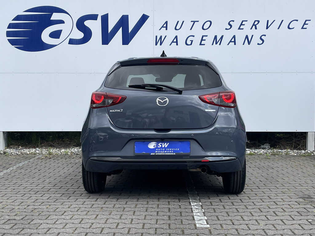 45598285-6.jpg