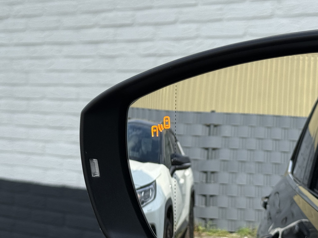 46669567-31.jpg