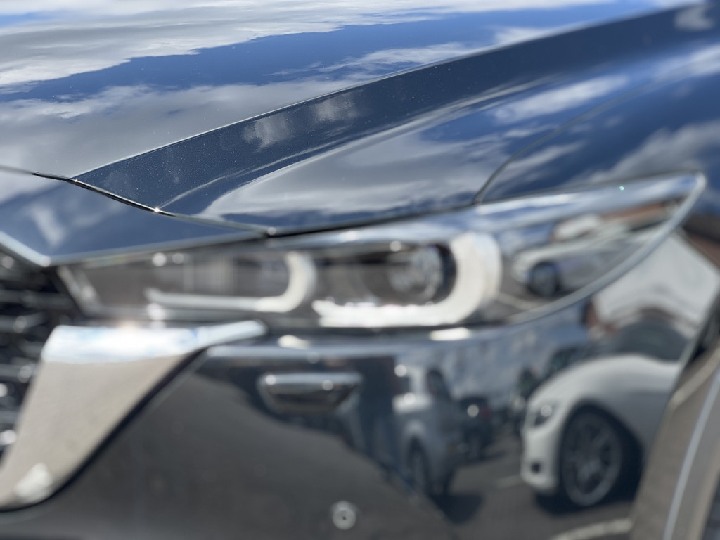 47114681-34.jpg