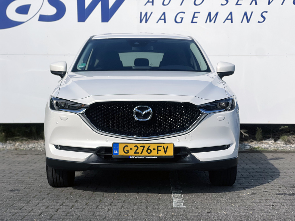 47918866-5.jpg